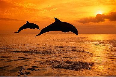 史克威尔原NS独占《三角战略》PC版10＆13推出